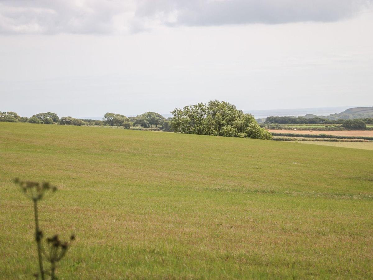Trevenna Cabin St Austell Luaran gambar