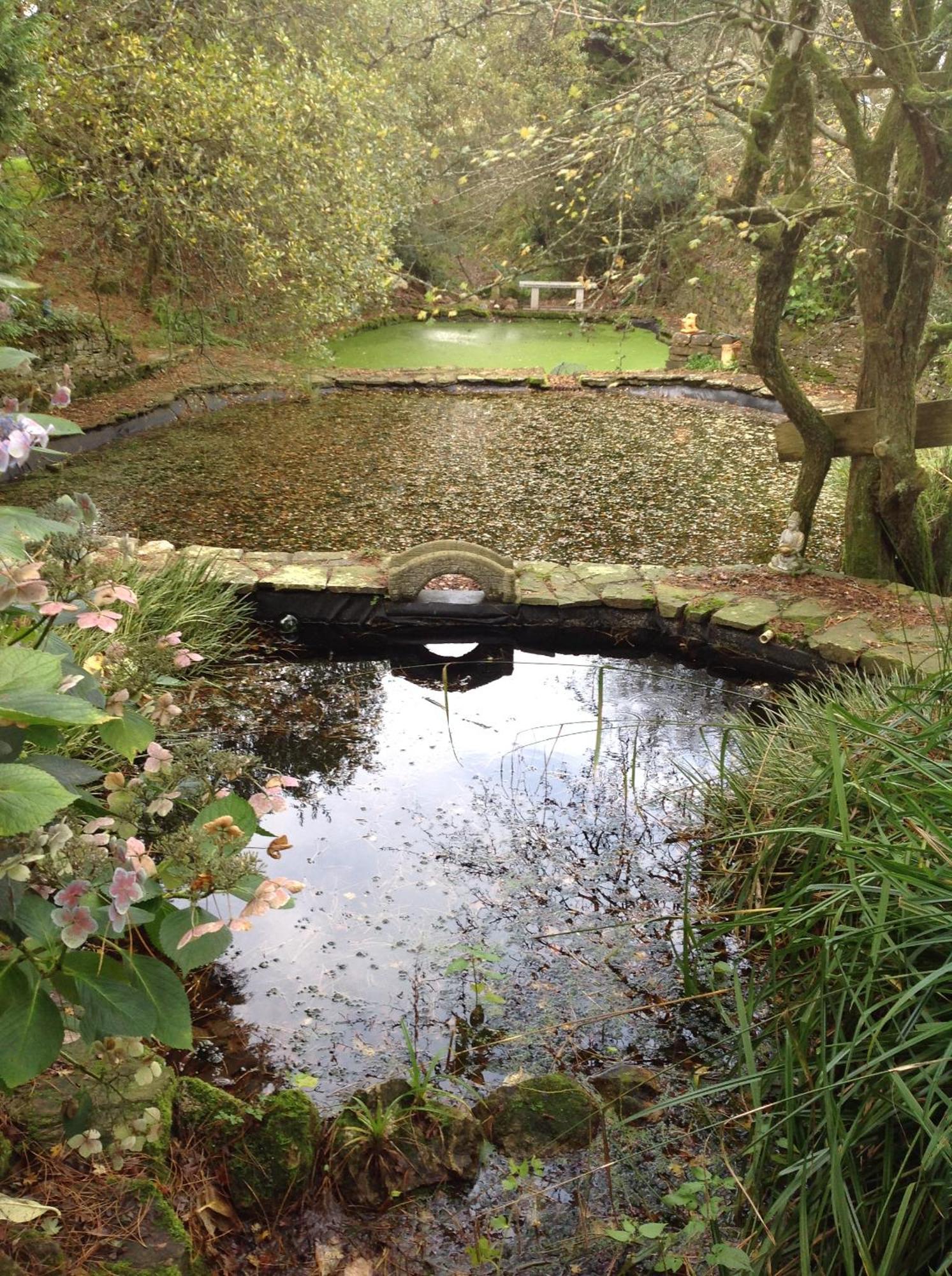 Trevenna Cabin St Austell Luaran gambar