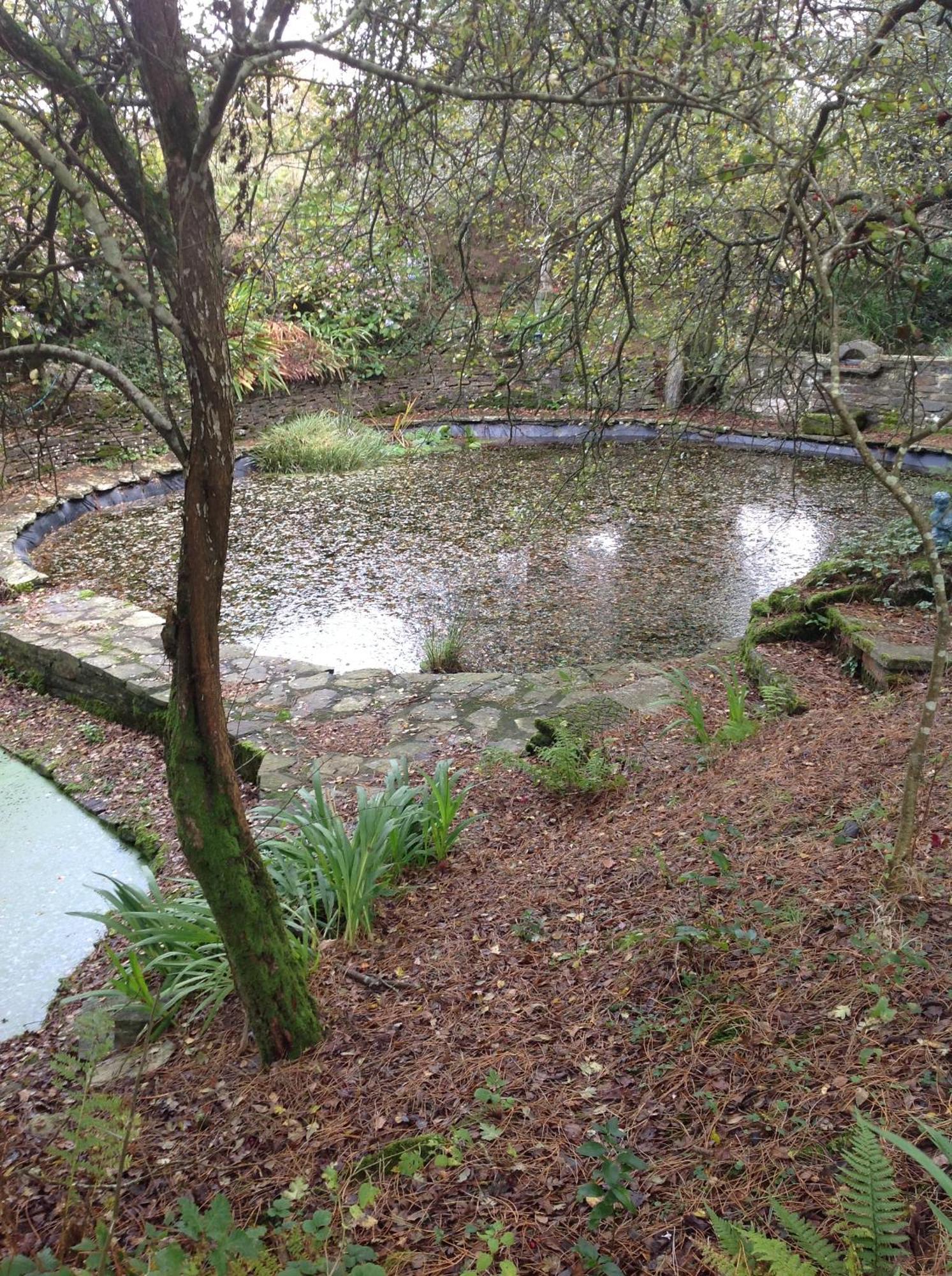 Trevenna Cabin St Austell Luaran gambar